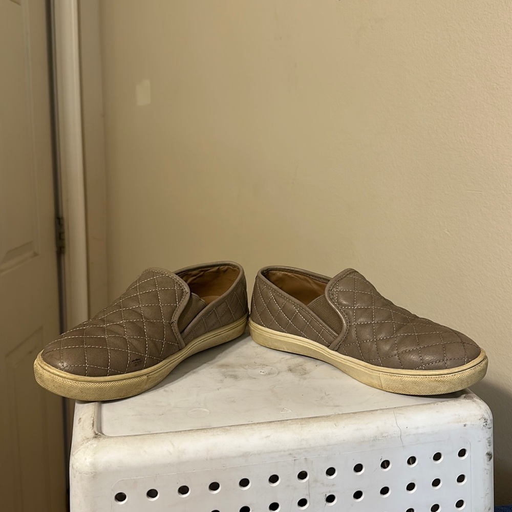Steve Madden sneaker